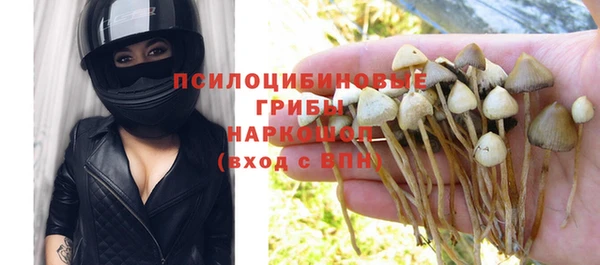 PSILOCYBIN Алексеевка