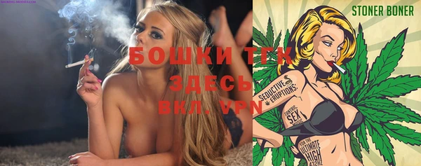 дурь Переславль-Залесский
