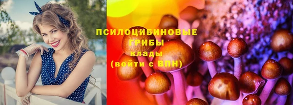 ПСИЛОЦИБИНОВЫЕ ГРИБЫ Алзамай