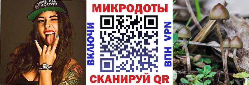 МЕГА как войти  Феодосия  Галлюциногенные грибы Cubensis 