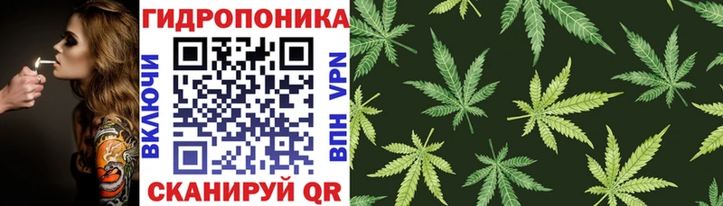 Бошки Шишки THC 21% Феодосия